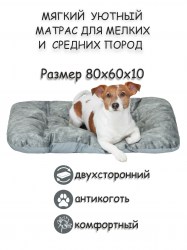 Нет заданного изображения 